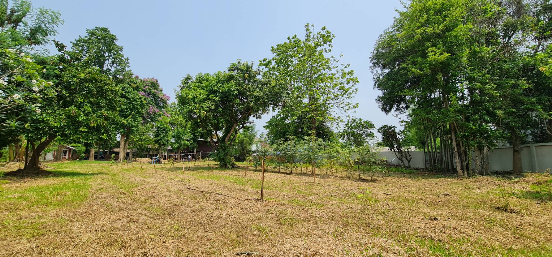  Land For Sale in Nong Phueng, Saraphi, Chiang Mai - Image 23