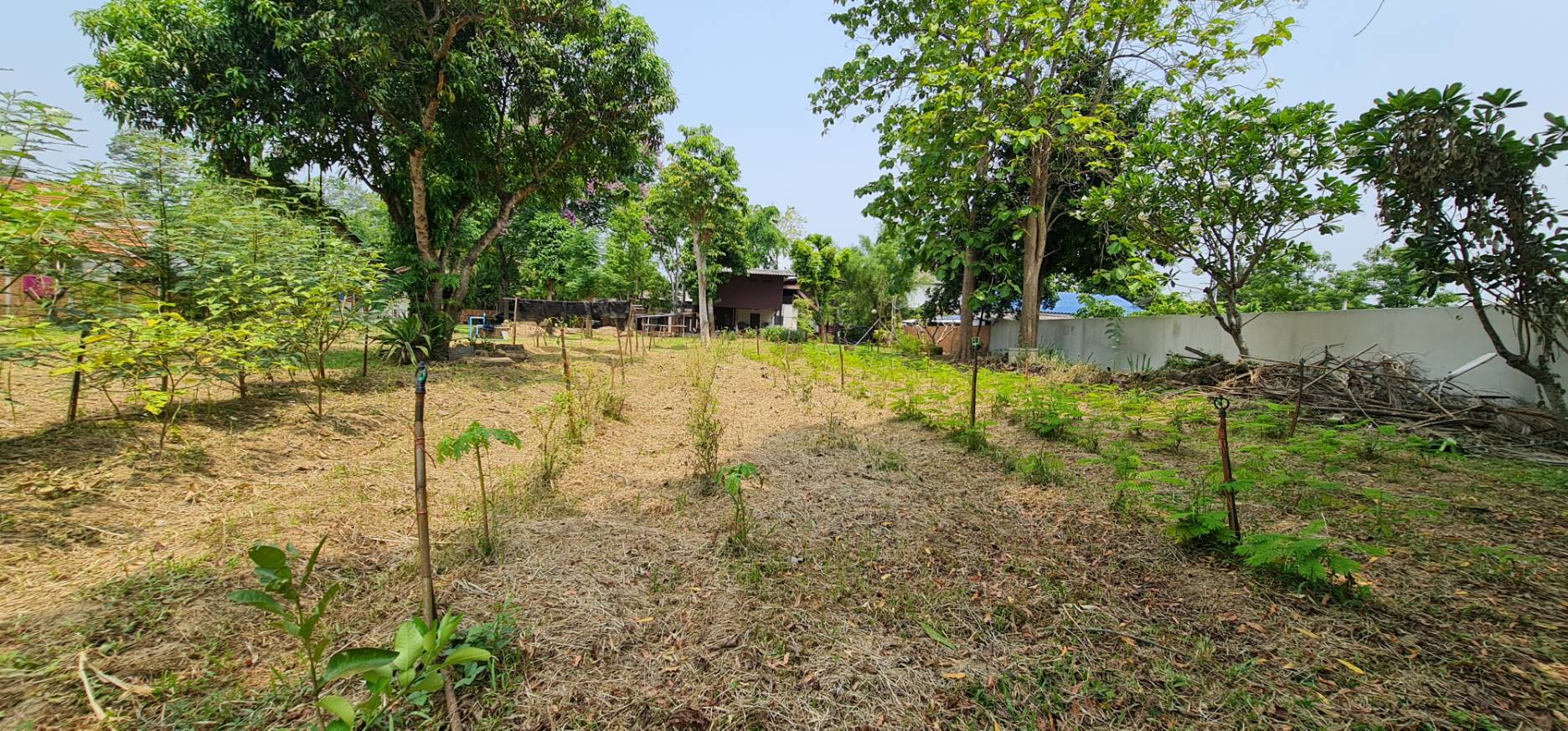 Land For Sale in Nong Phueng, Saraphi, Chiang Mai - Image 22