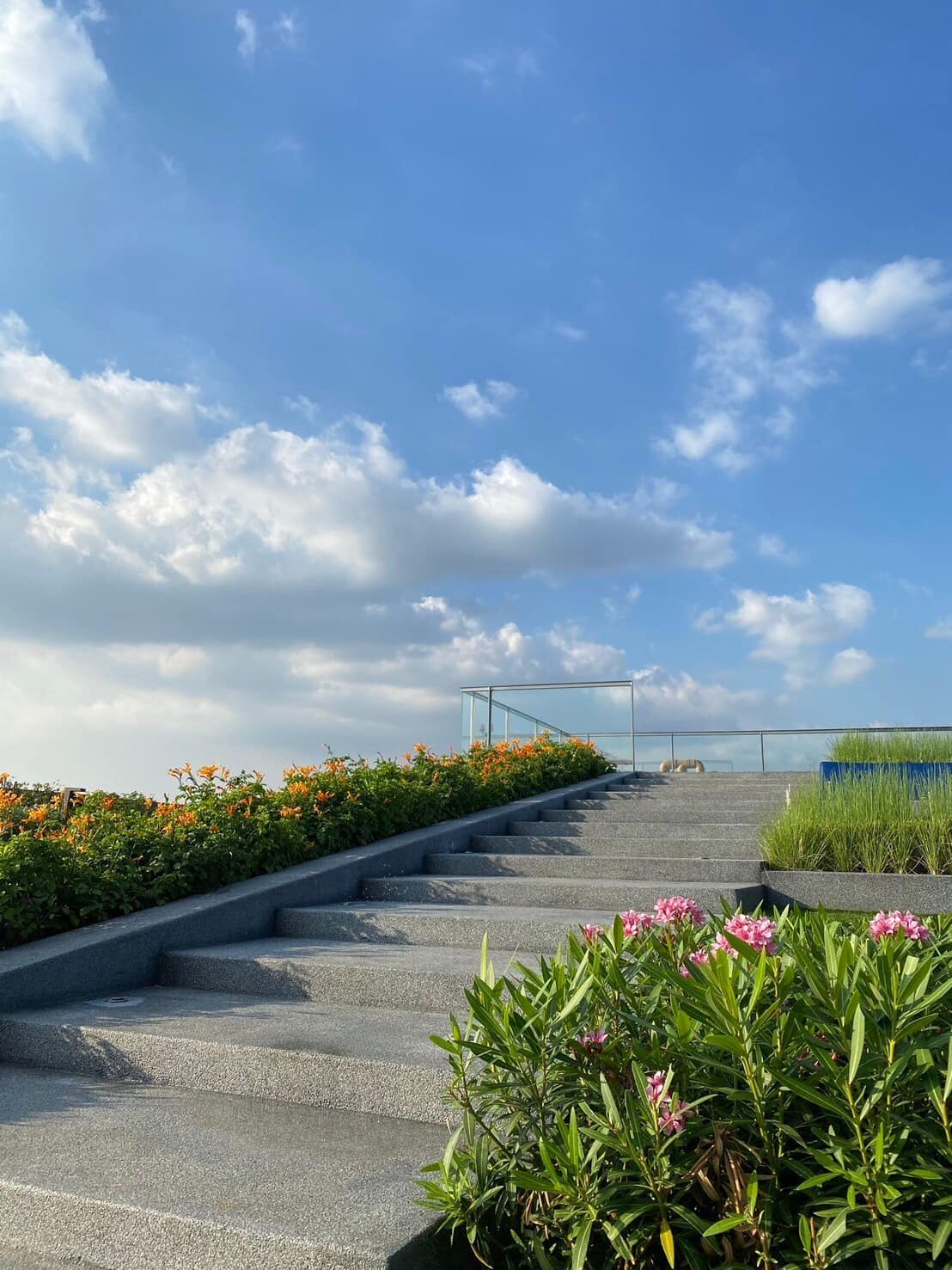 1 Bedroom Condo For Sale in Khlong Tan, Khlong Toei, Bangkok - Image 20