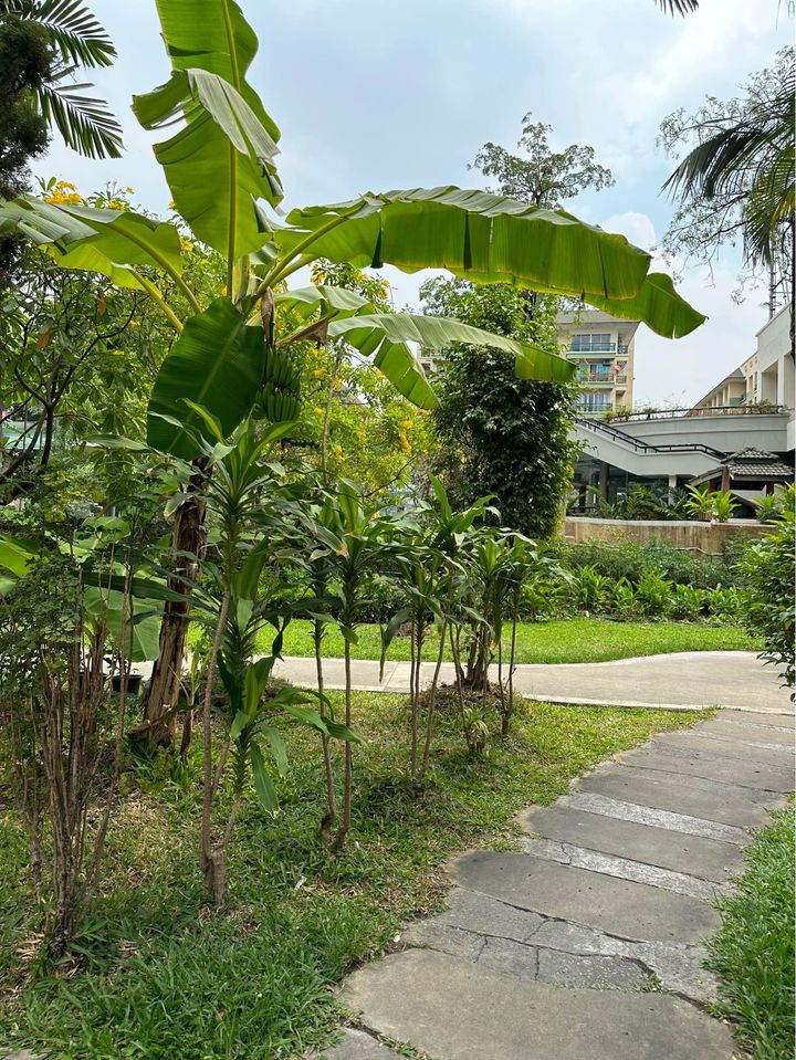 THE PARKLAND BANGNA - Image 13