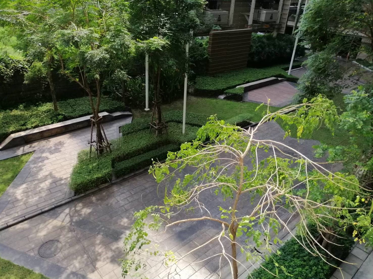 Lumpini Park Rama 9 - Ratchada - Image 7