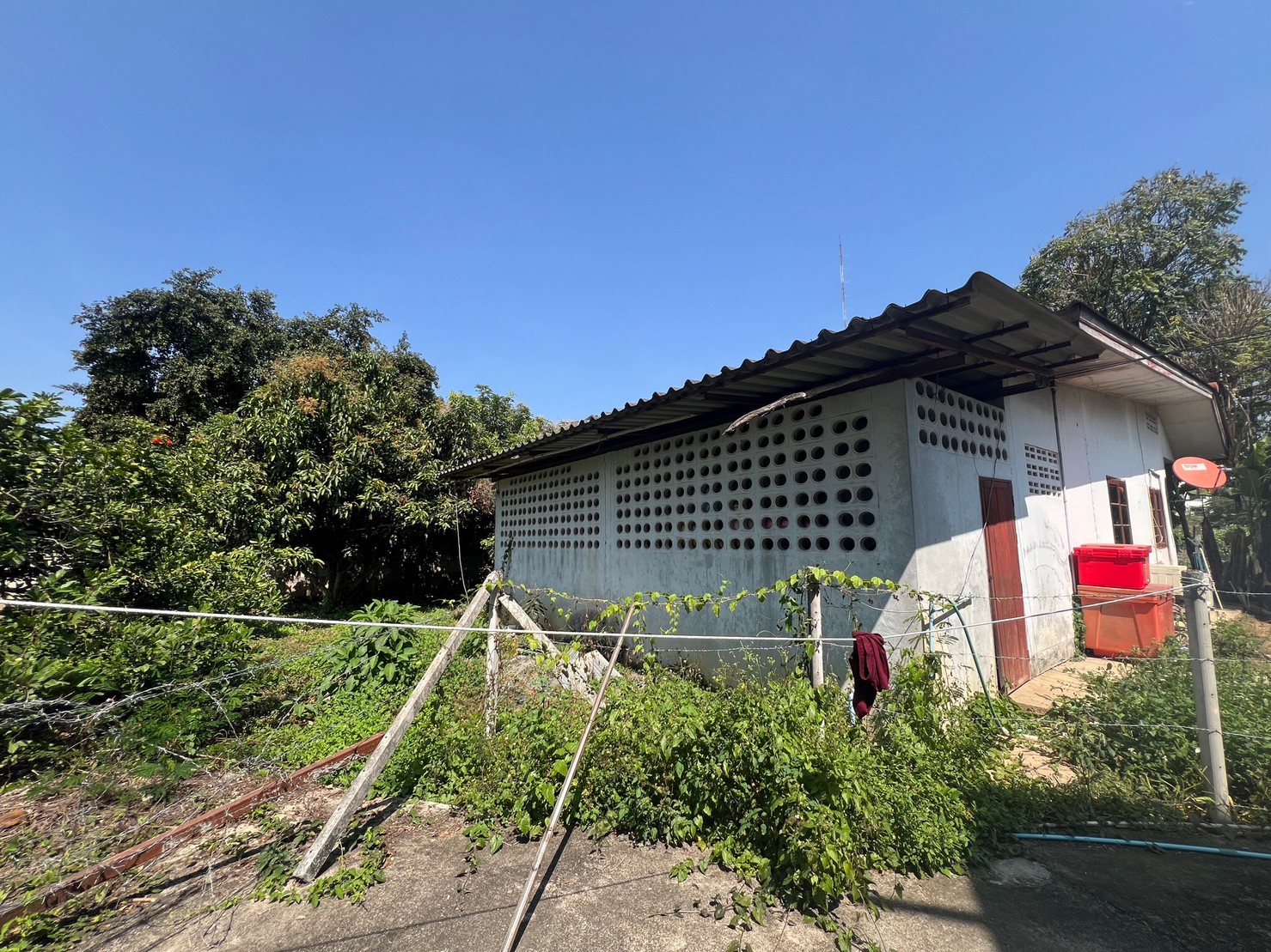  Land For Sale in Mae Taeng, Mae Taeng, Chiang Mai - Image 11