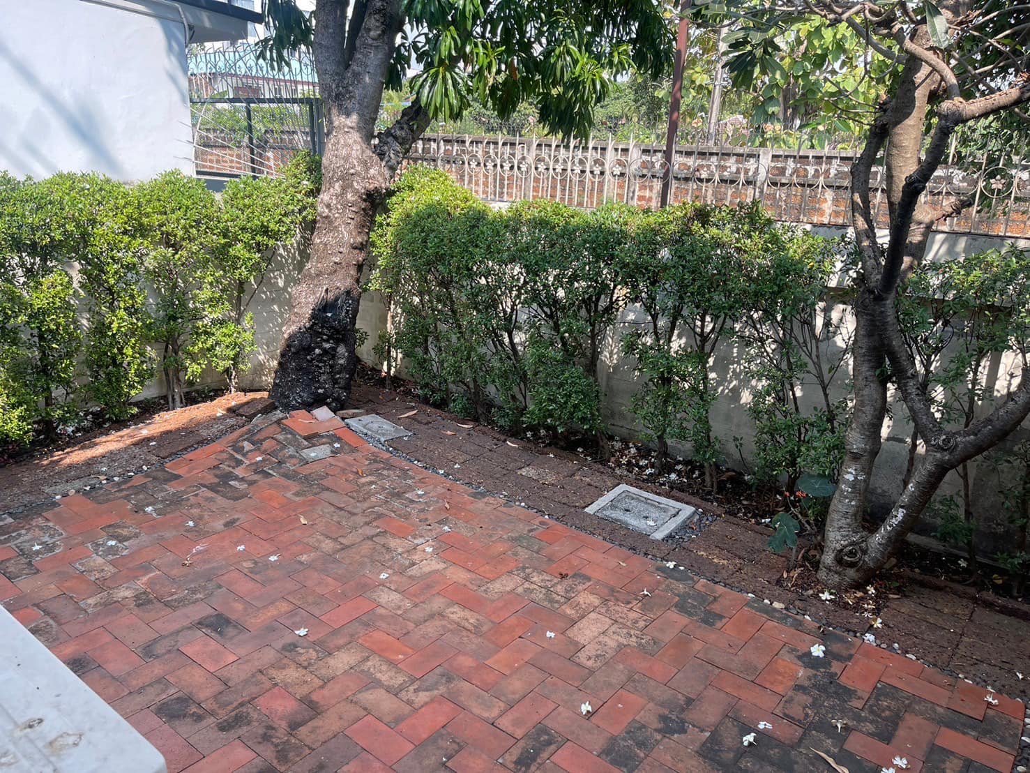 พรไพลิน สุขุมวิท 101/1 - Image 25