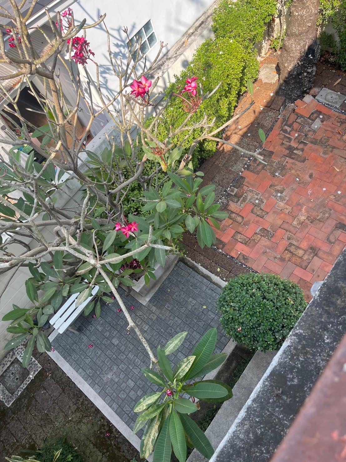 พรไพลิน สุขุมวิท 101/1 - Image 23