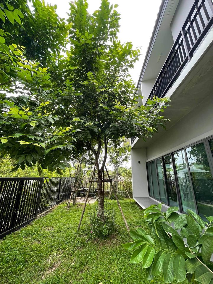 3 Bedroom House  in Ban Waen, Hang Dong, Chiang Mai - Image 9
