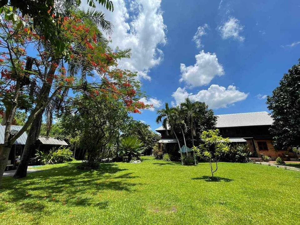 5 Bedroom House For Sale in Nong Han, San Sai, Chiang Mai - Image 16