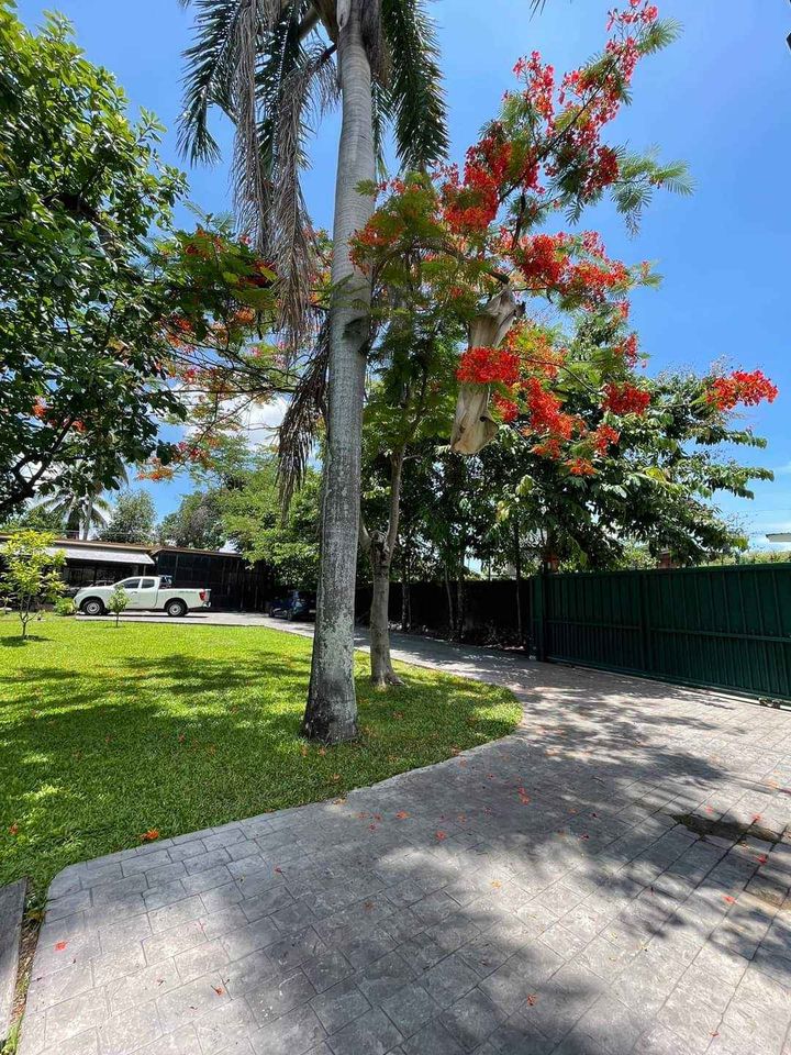 5 Bedroom House For Sale in Nong Han, San Sai, Chiang Mai - Image 12