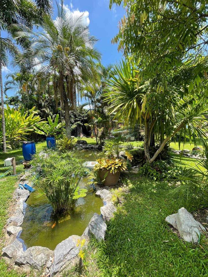 5 Bedroom House For Sale in Nong Han, San Sai, Chiang Mai - Image 19