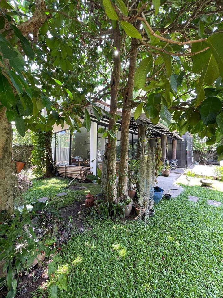 5 Bedroom House For Sale in Nong Han, San Sai, Chiang Mai - Image 13
