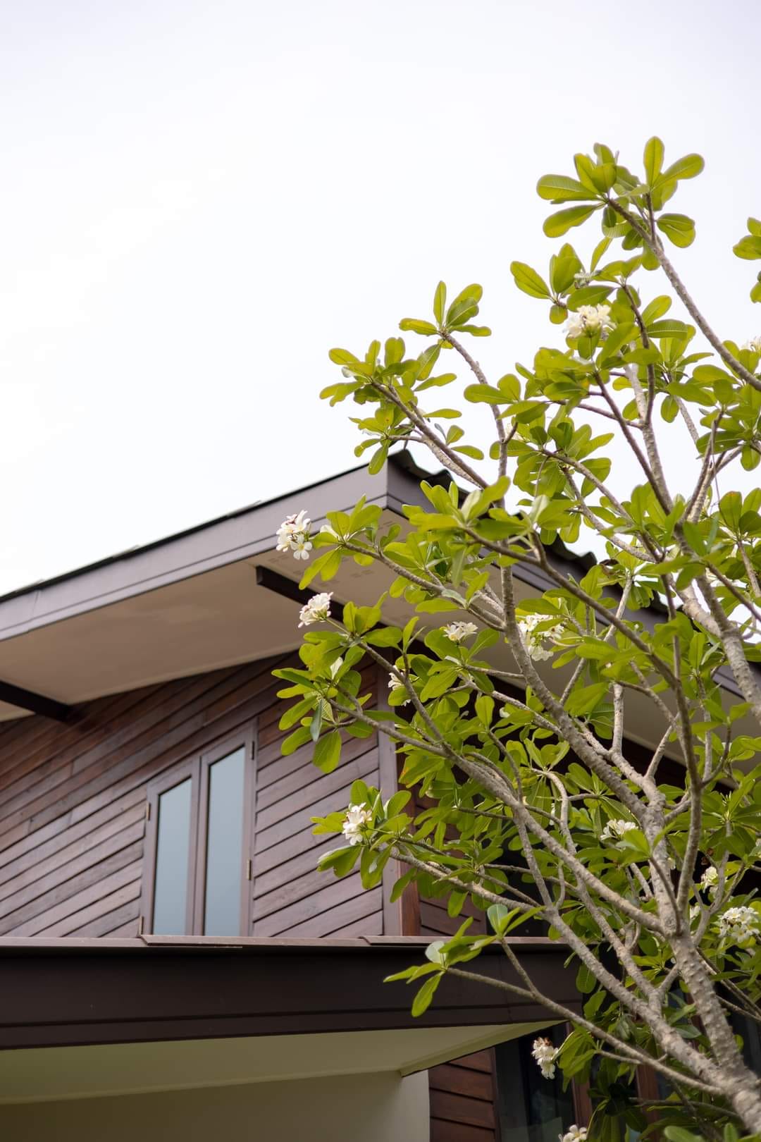 4 Bedroom House For Sale in Nong Phueng, Saraphi, Chiang Mai - Image 12