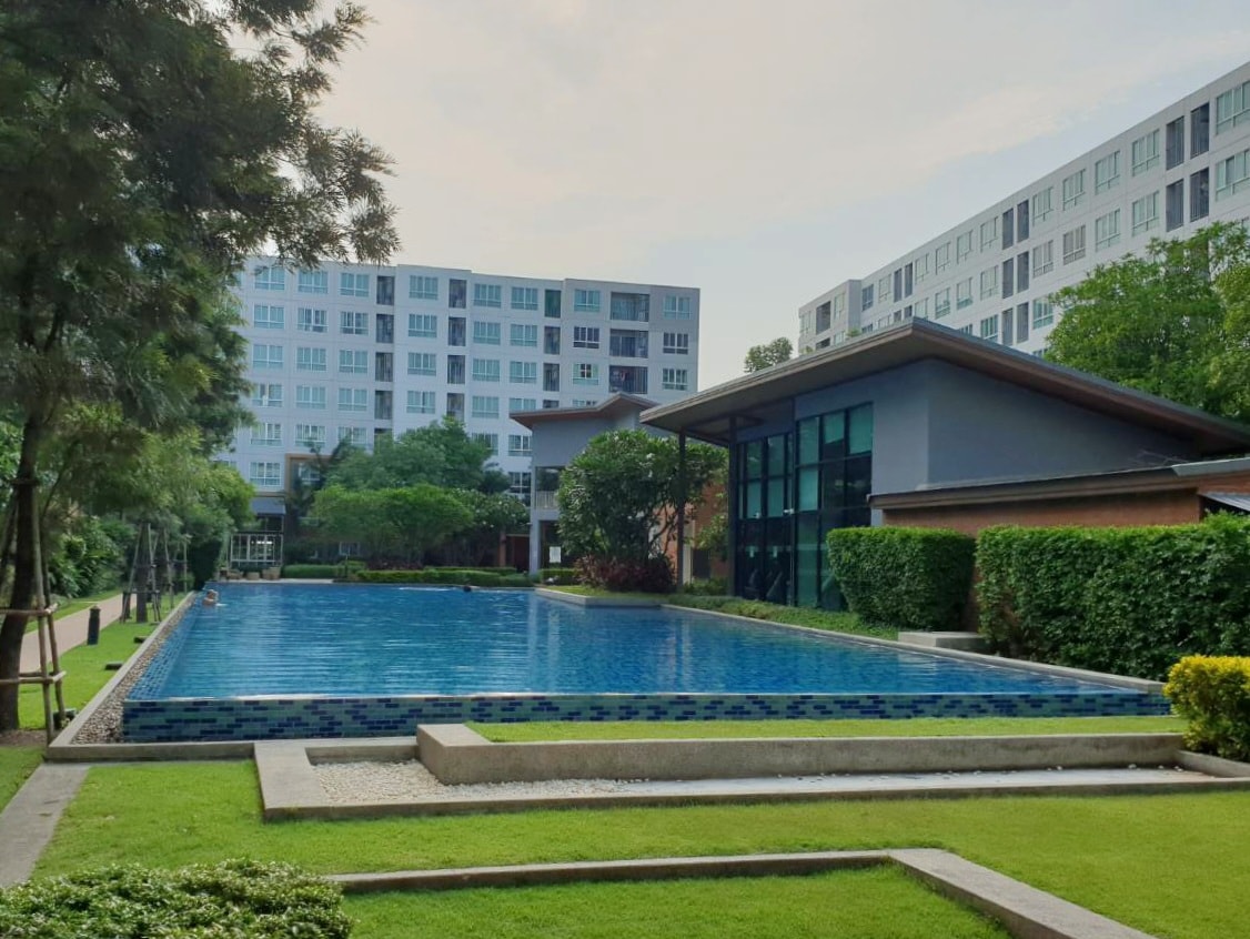 DCondo Nim - Image 8