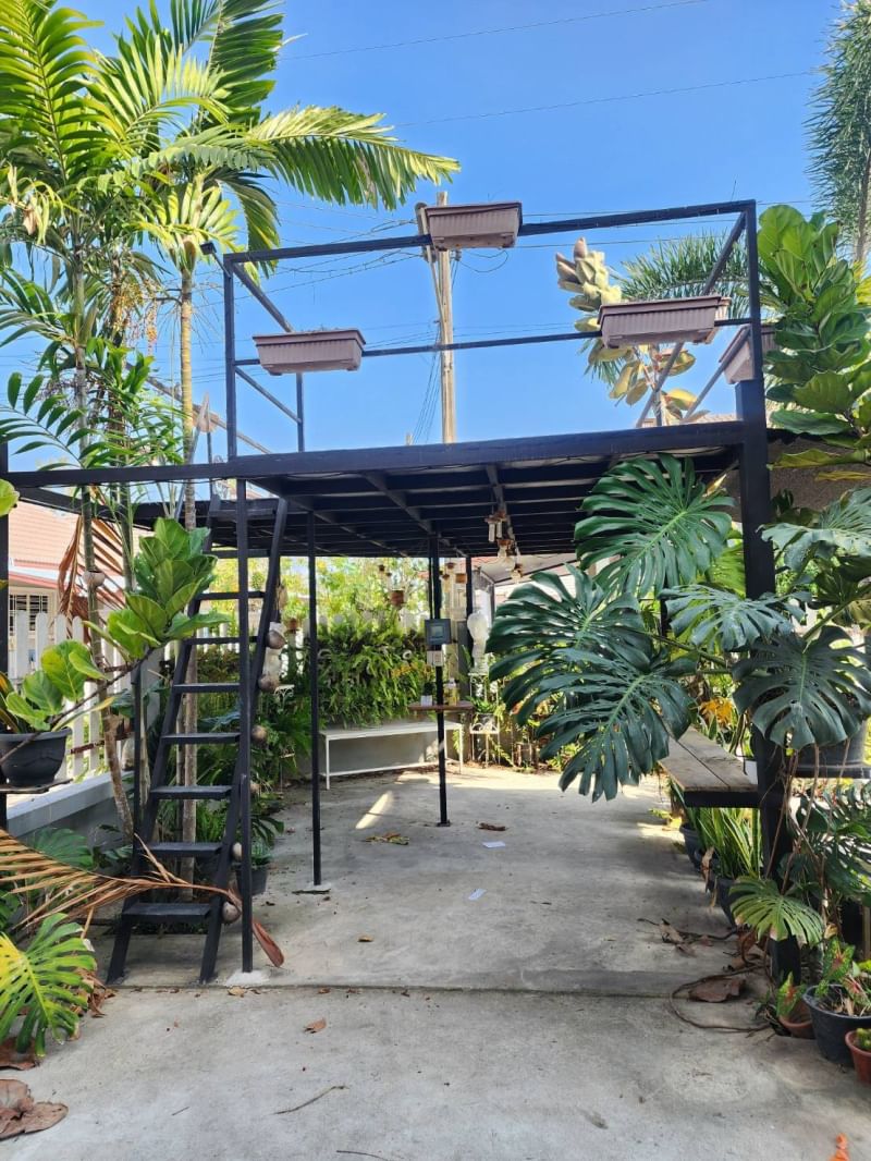 5 Bedroom House  in Pa Daet, Mueang Chiang Mai, Chiang Mai - Image 19