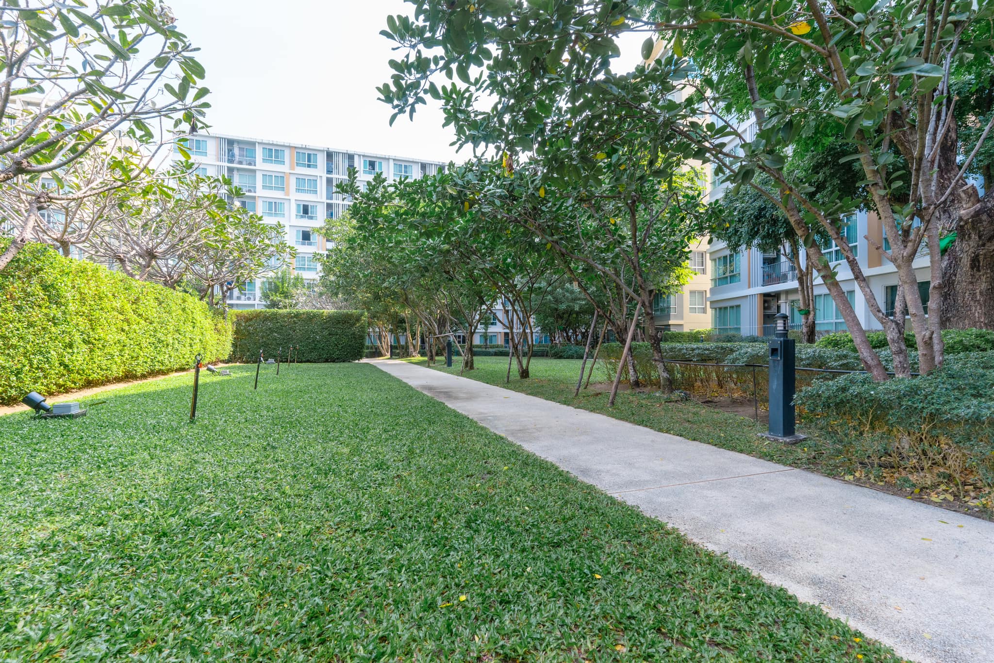 DCondo Sign - Image 20