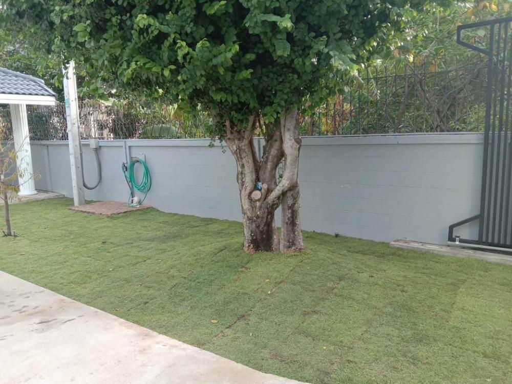 หมู่บ้าน เอเวอร์กรีนวิลล์ บางนา-ตราด - Image 31