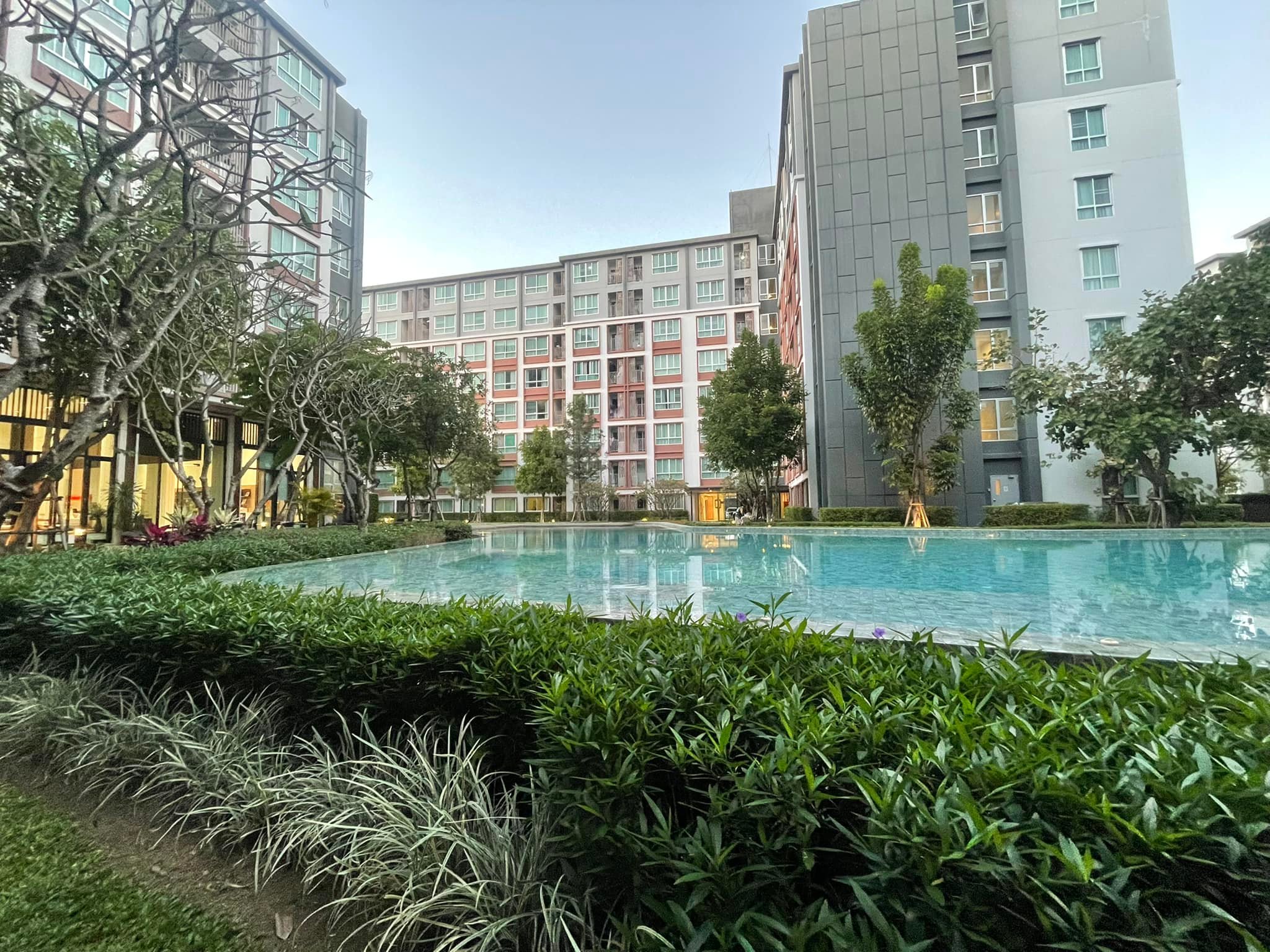 Dcondo Ping - Image 16