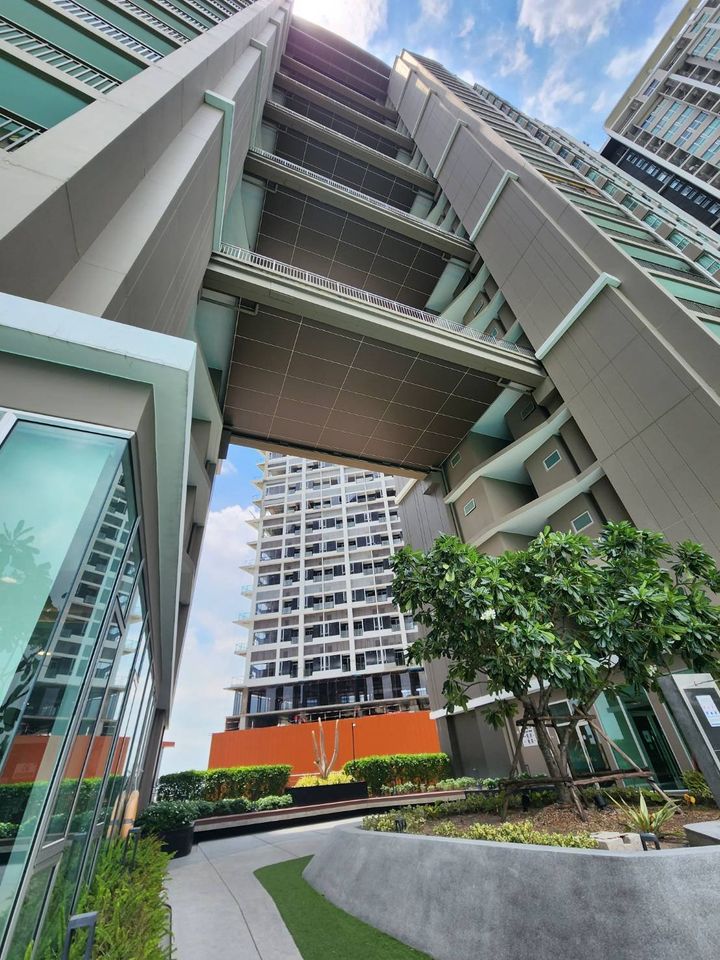 Siamese Rama 9 - Image 7