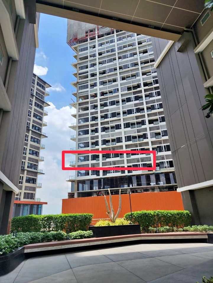 Siamese Rama 9 - Image 8