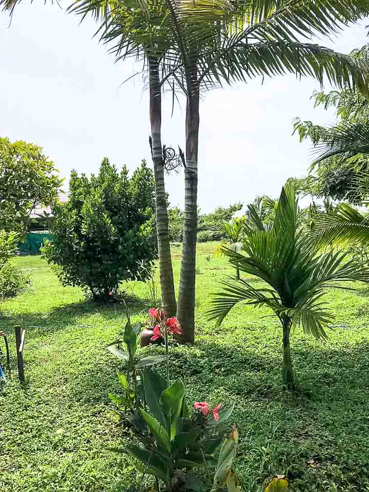 Mooban Lanna Villa - Image 25