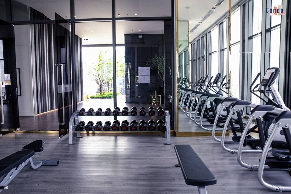 ไลฟ์ วัน ไวร์เลส - Image 19