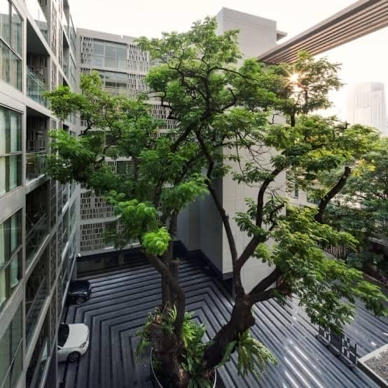 Via Botani Sukhumvit 47 - Image 6