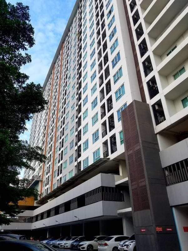 Regent Orchid - Image 10