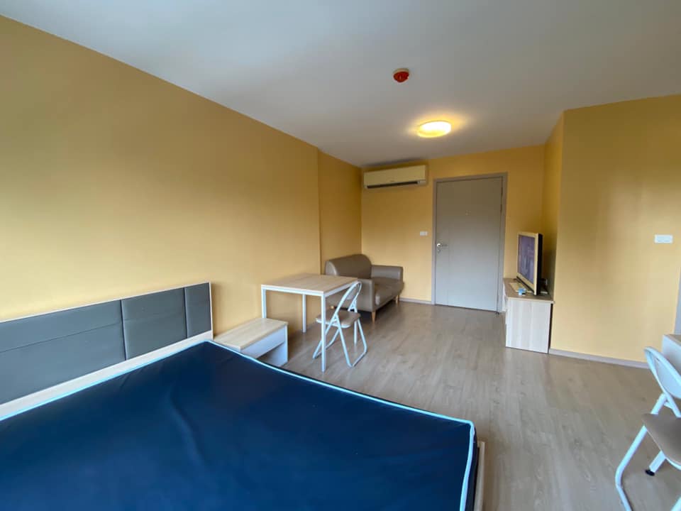 ELIO DEL NEST - Image 10