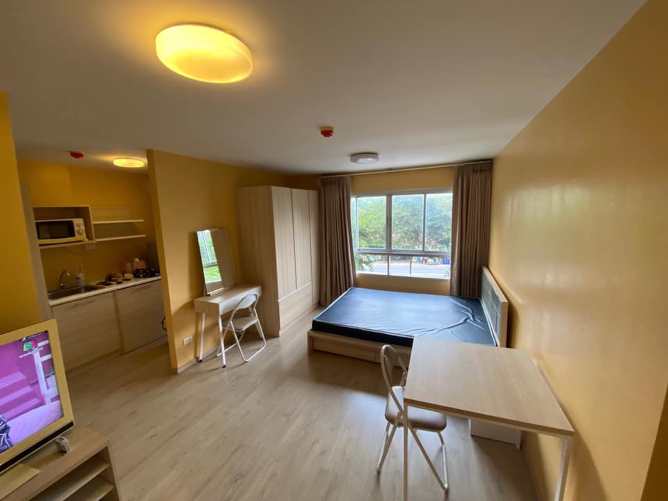 ELIO DEL NEST - Image 5