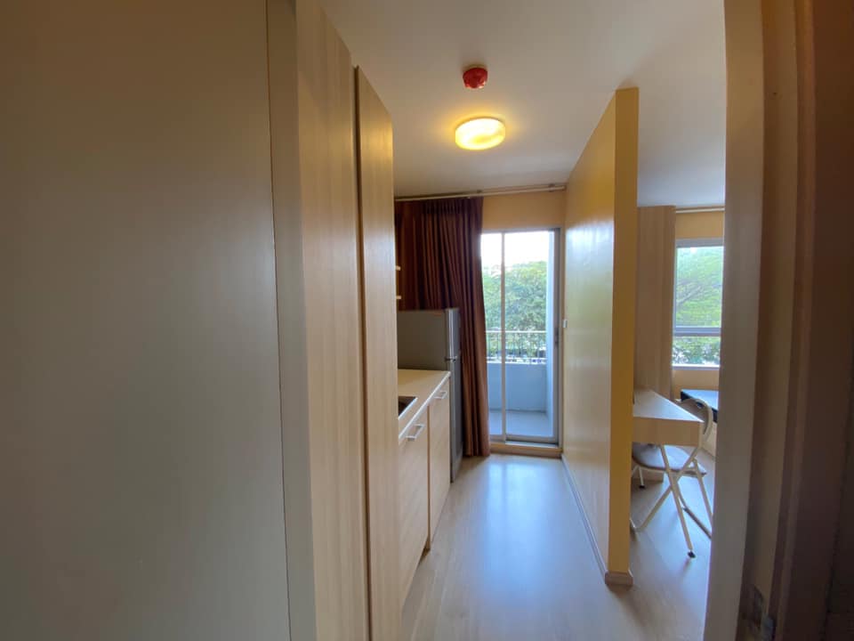 ELIO DEL NEST - Image 11
