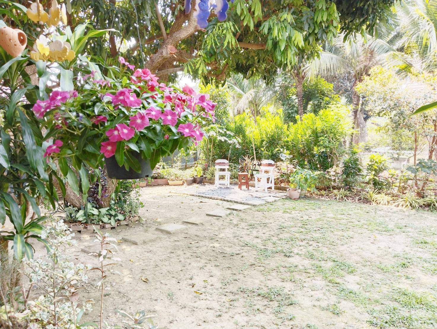 3 Bedroom House For Sale in Talat Khwan, Doi Saket, Chiang Mai - Image 2