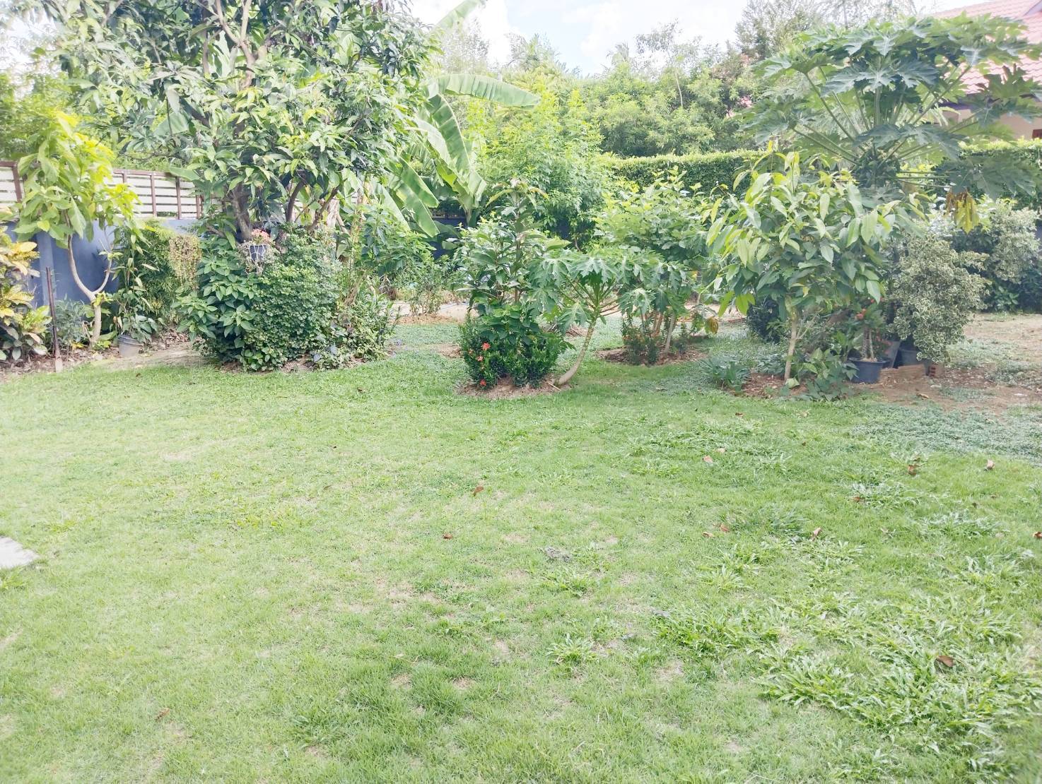 3 Bedroom House For Sale in Talat Khwan, Doi Saket, Chiang Mai - Image 22