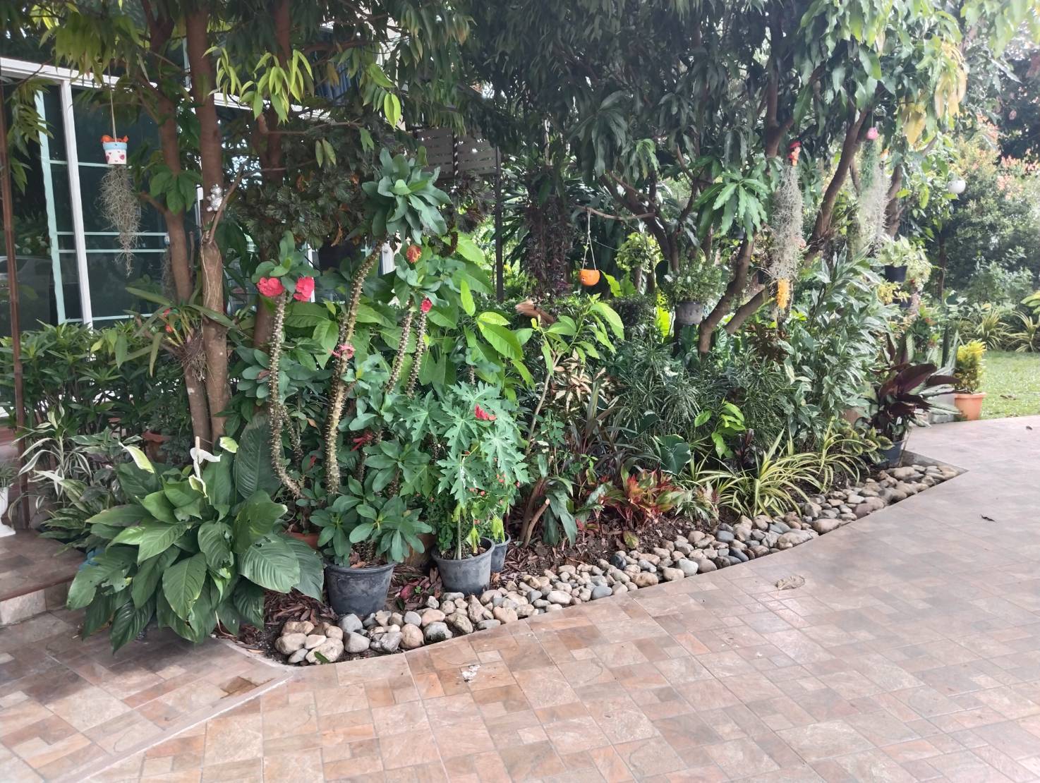 3 Bedroom House For Sale in Talat Khwan, Doi Saket, Chiang Mai - Image 24