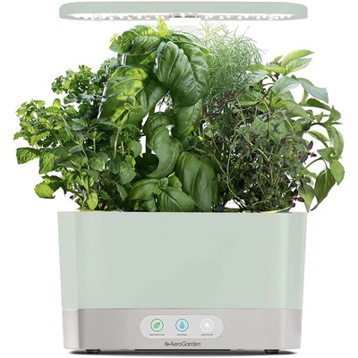AeroGarden Sage Harvest indoor garden