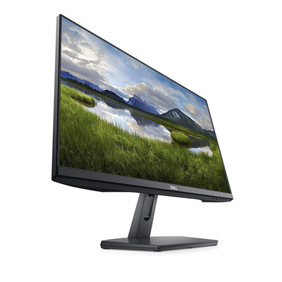 Dell SE2419H 24-inch 1080p IPS LED monitor