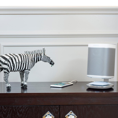 Sonos Play:1 (2-pack) + Flexson Charging Stands bundle