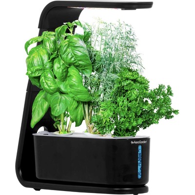 AeroGarden Sprout garden kit with 3 gourmet herb pods