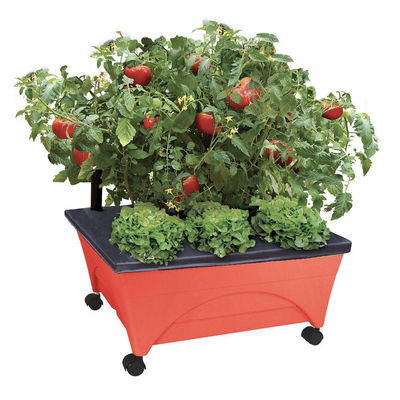 Do some gardening even in a smaller home with the City Pickers garden bed kit on sale for $20