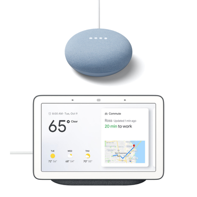 Google Nest Hub + Google Nest Mini