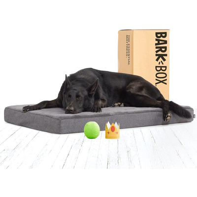 BarkBox Memory Foam Dog Beds