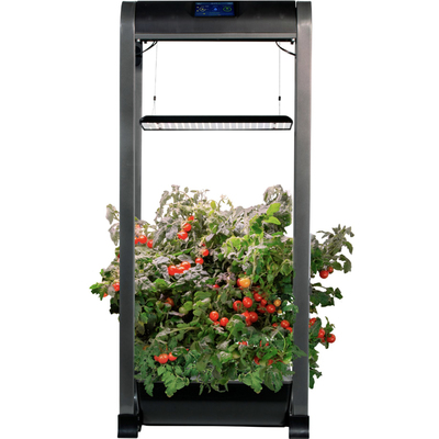 AeroGarden Farm 12 XL garden kit