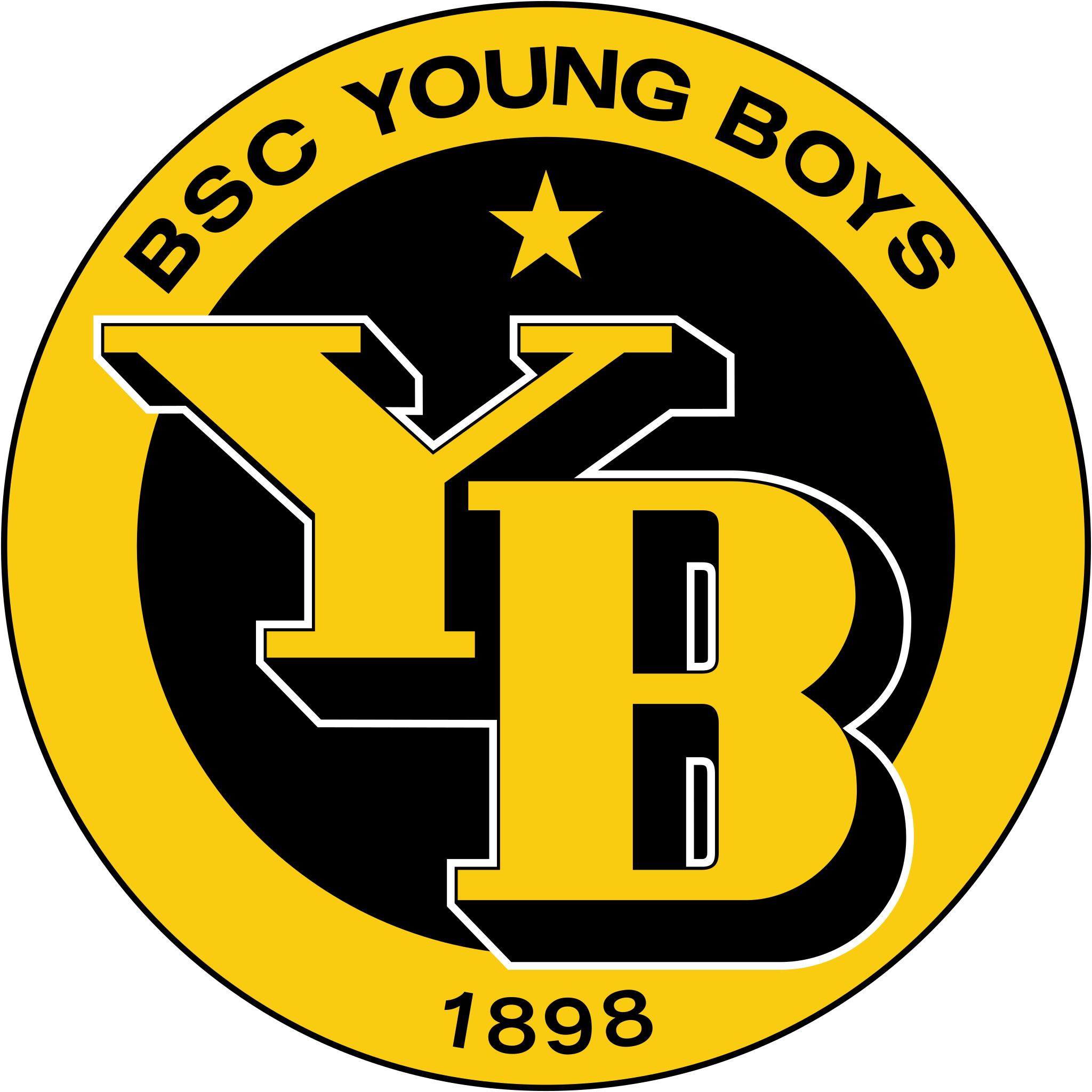 team logo