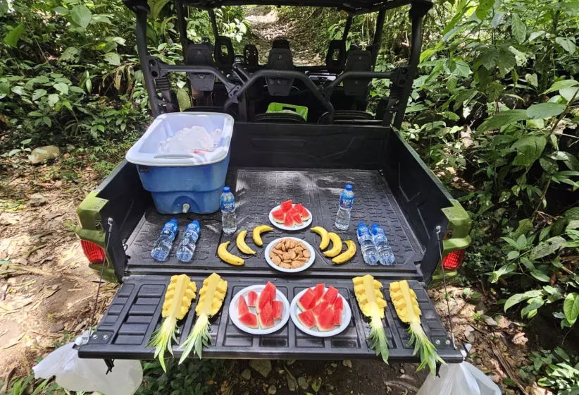 Fresh fruit snack served on the back of a side by side UTV as part of the tour experience in La Fortuna, Costa Rica