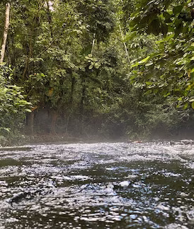 Natural hot springs at El Choyin on the Tabacón River in La Fortuna, Arenal, Costa Rica
