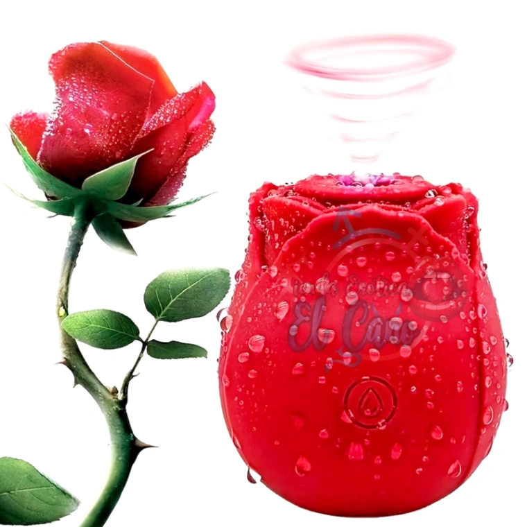 VIBRADOR SUCCIONADOR ROSA (Ref:2734)