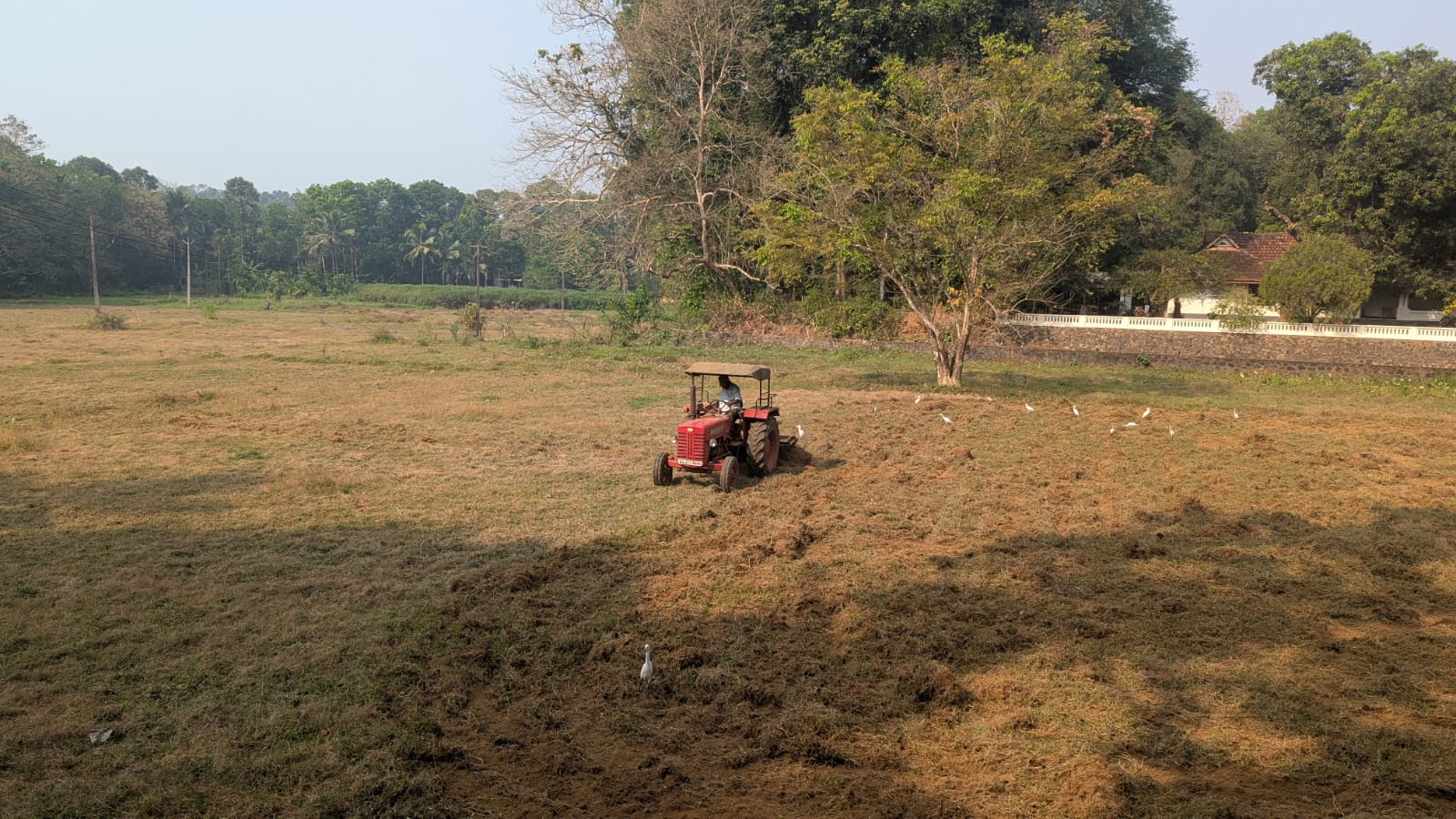 TIESFPC Extends Fallow Land Cultivation Initiative to Ramapuram image 2