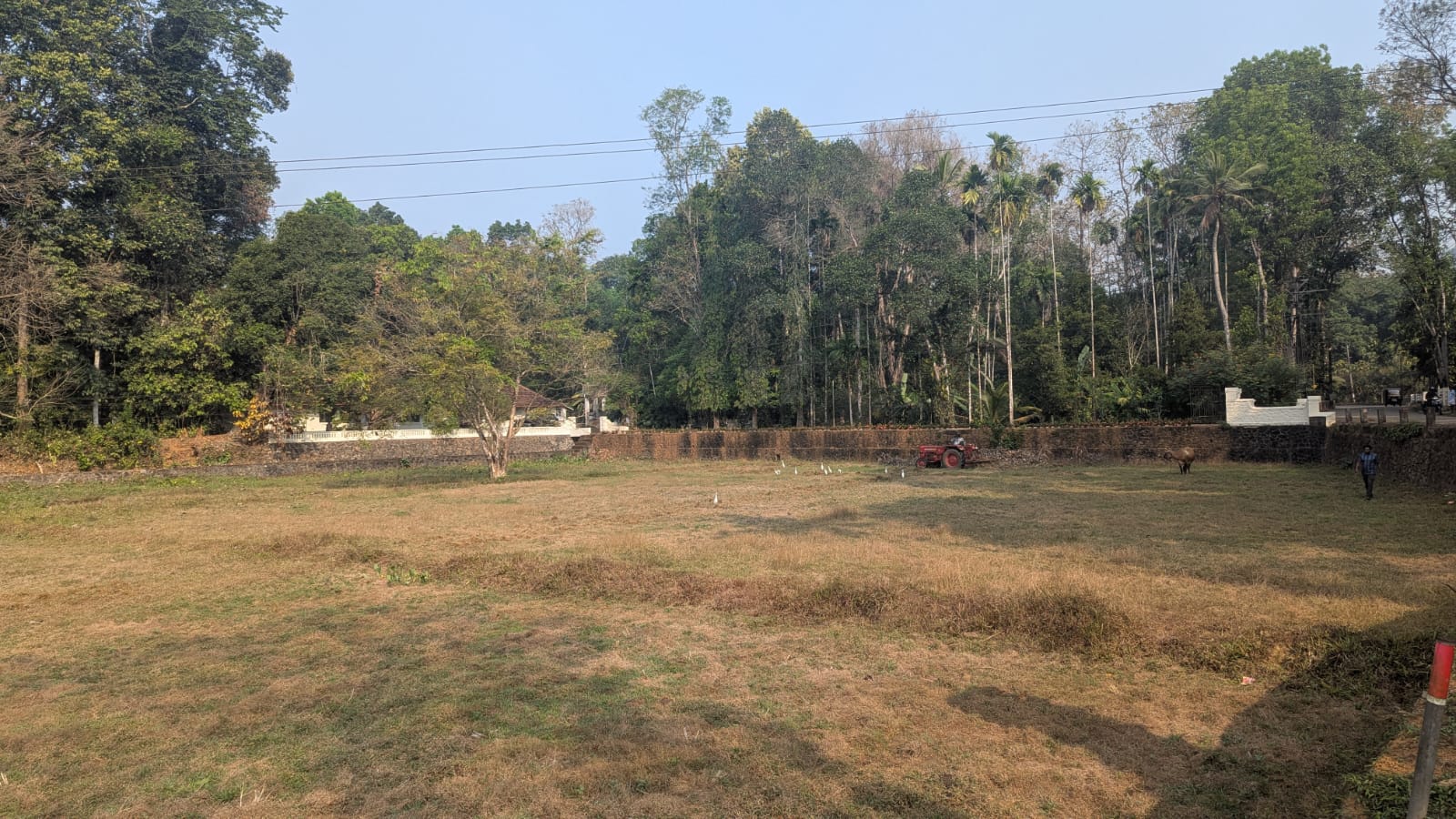 TIESFPC Extends Fallow Land Cultivation Initiative to Ramapuram image 4