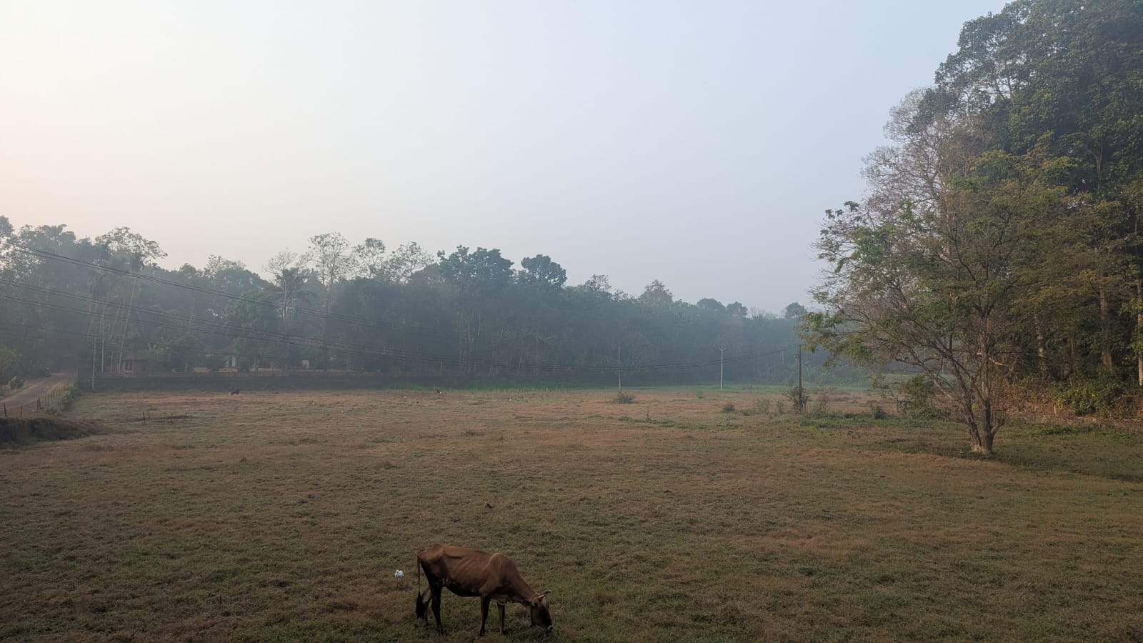 TIESFPC Extends Fallow Land Cultivation Initiative to Ramapuram image 5