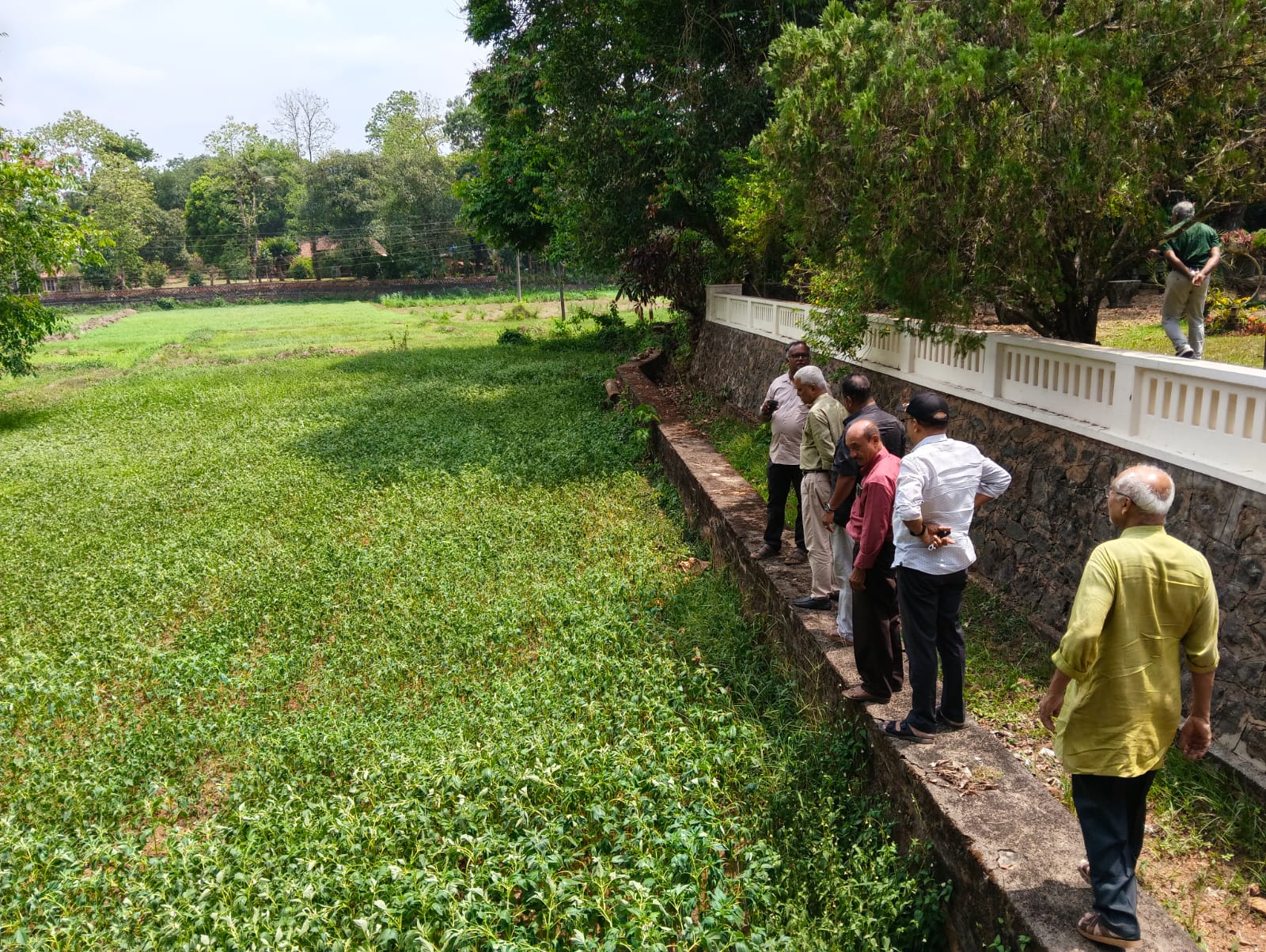 Directors’ Live Field Visit: Understanding the Ground Realities of Farming image 3