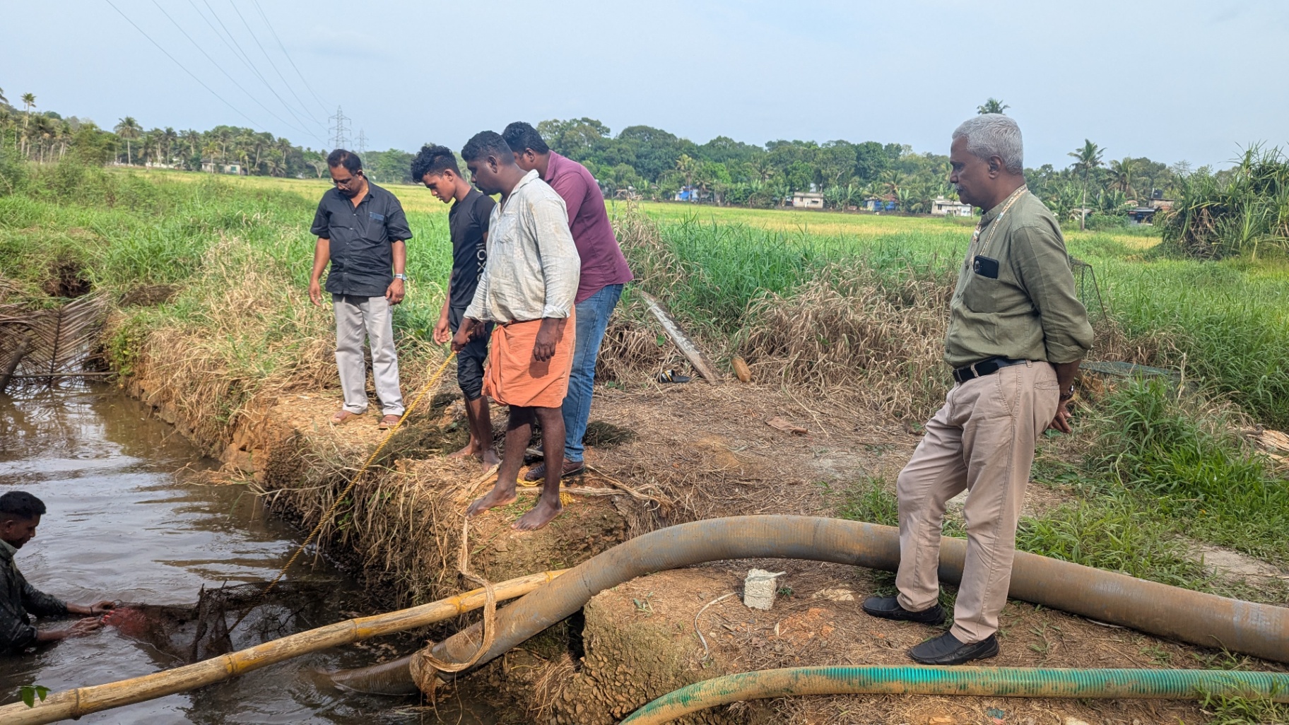Directors’ Live Field Visit: Understanding the Ground Realities of Farming image 5