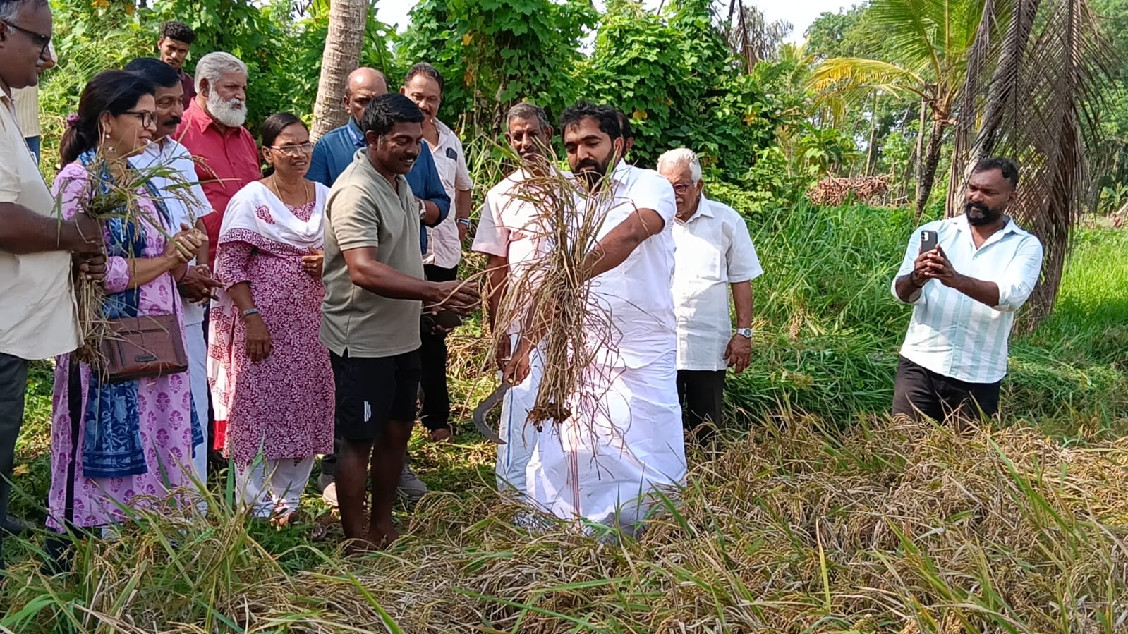 From Fallow Fields to Golden Grains: Adv. Chandy Oommen MLA Ushers in a New Era for TIESFPC