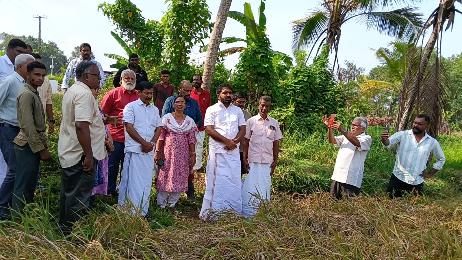 From Fallow Fields to Golden Grains: Adv. Chandy Oommen MLA Ushers in a New Era for TIESFPC image 3